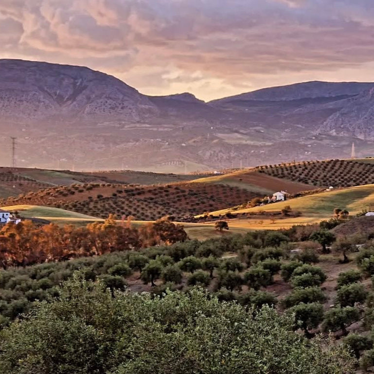 Kreativ resa till Andalusien 8-12/10